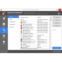 CCleaner Professional (1 Year / 1 PC) [GLOBAL]